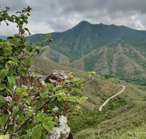 Lee más sobre el artículo Embera Trail